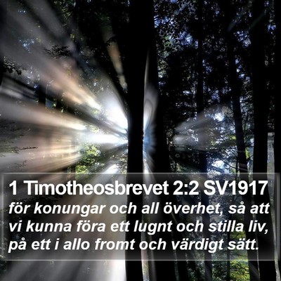 1 Timotheosbrevet 2:2 SV1917 Bible Verse Image