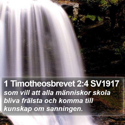 1 Timotheosbrevet 2:4 SV1917 Bible Verse Image