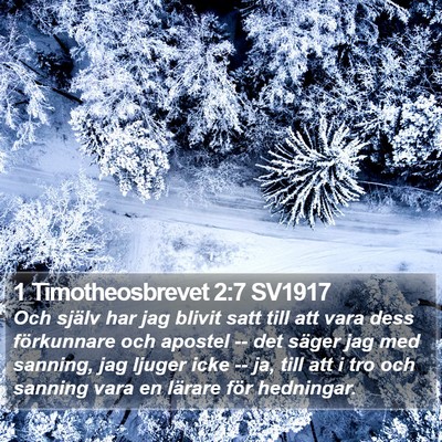 1 Timotheosbrevet 2:7 SV1917 Bible Verse Image