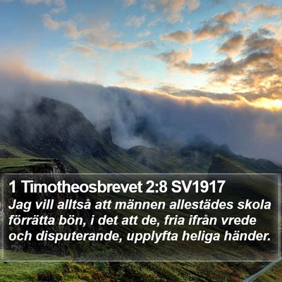 1 Timotheosbrevet 2:8 SV1917 Bible Verse Image