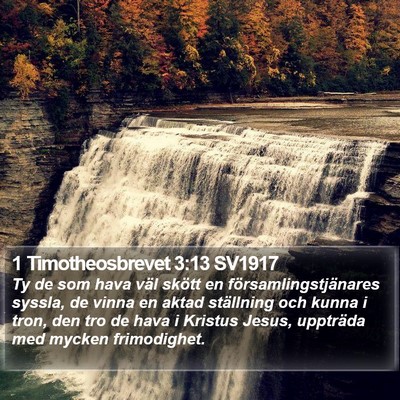 1 Timotheosbrevet 3:13 SV1917 Bible Verse Image
