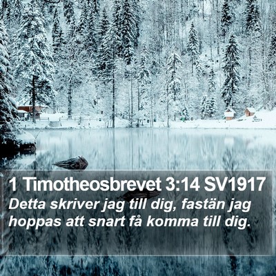 1 Timotheosbrevet 3:14 SV1917 Bible Verse Image