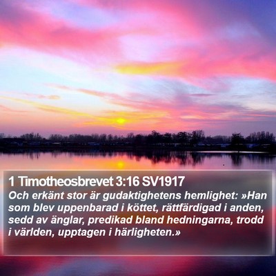 1 Timotheosbrevet 3:16 SV1917 Bible Verse Image