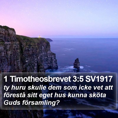 1 Timotheosbrevet 3:5 SV1917 Bible Verse Image