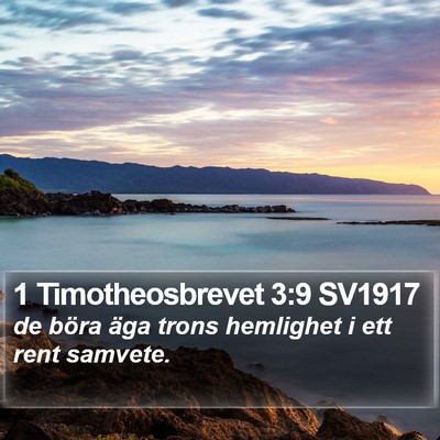 1 Timotheosbrevet 3:9 SV1917 Bible Verse Image