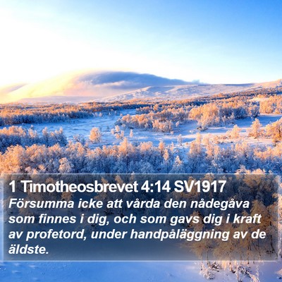 1 Timotheosbrevet 4:14 SV1917 Bible Verse Image