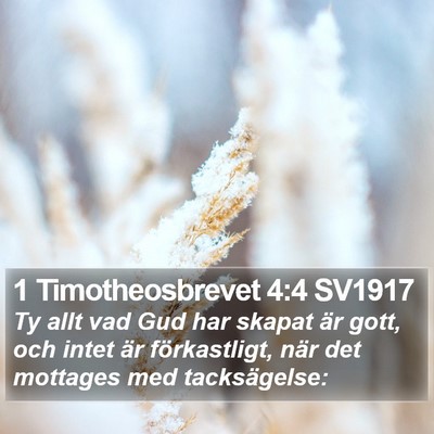 1 Timotheosbrevet 4:4 SV1917 Bible Verse Image