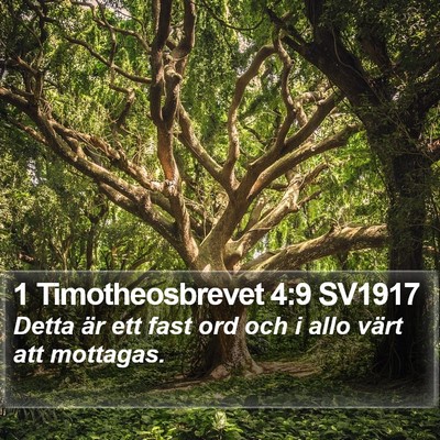 1 Timotheosbrevet 4:9 SV1917 Bible Verse Image