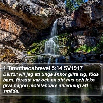 1 Timotheosbrevet 5:14 SV1917 Bible Verse Image