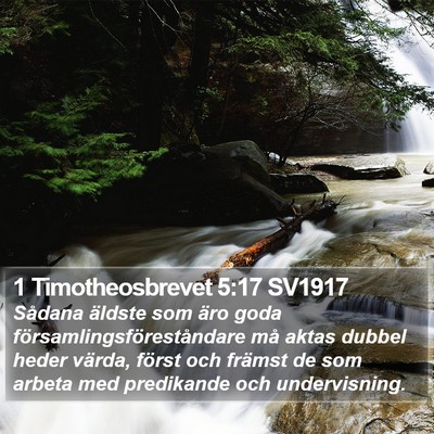1 Timotheosbrevet 5:17 SV1917 Bible Verse Image