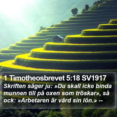 1 Timotheosbrevet 5:18 SV1917 Bible Verse Image