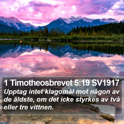 1 Timotheosbrevet 5:19 SV1917 Bible Verse Image