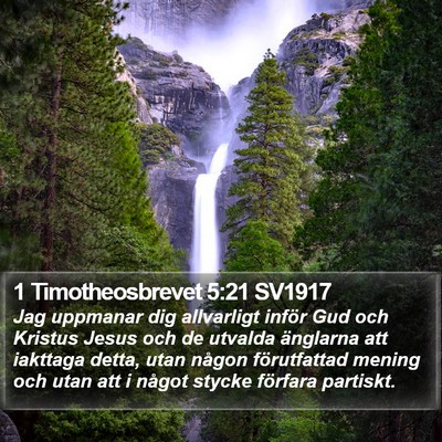 1 Timotheosbrevet 5:21 SV1917 Bible Verse Image