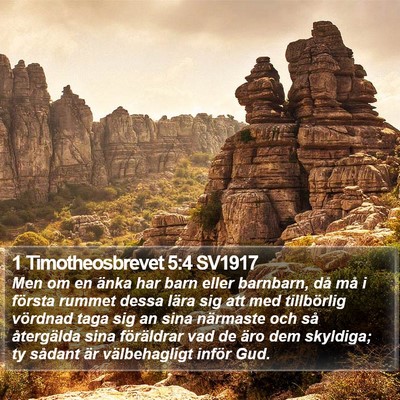 1 Timotheosbrevet 5:4 SV1917 Bible Verse Image