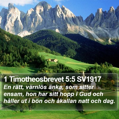 1 Timotheosbrevet 5:5 SV1917 Bible Verse Image