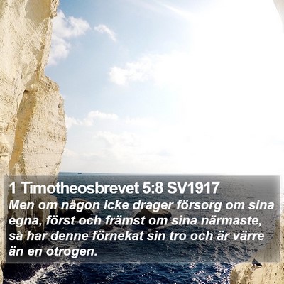 1 Timotheosbrevet 5:8 SV1917 Bible Verse Image