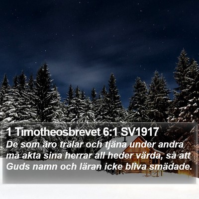 1 Timotheosbrevet 6:1 SV1917 Bible Verse Image