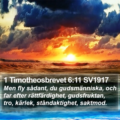 1 Timotheosbrevet 6:11 SV1917 Bible Verse Image