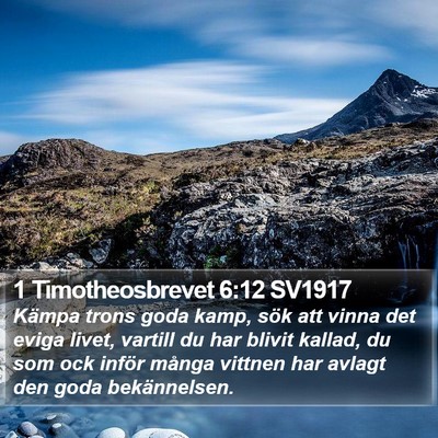 1 Timotheosbrevet 6:12 SV1917 Bible Verse Image