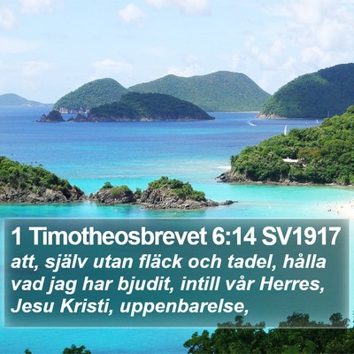 1 Timotheosbrevet 6:14 SV1917 Bible Verse Image