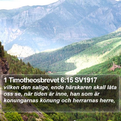 1 Timotheosbrevet 6:15 SV1917 Bible Verse Image