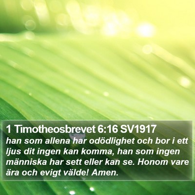 1 Timotheosbrevet 6:16 SV1917 Bible Verse Image