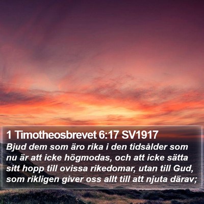 1 Timotheosbrevet 6:17 SV1917 Bible Verse Image