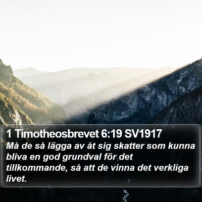1 Timotheosbrevet 6:19 SV1917 Bible Verse Image
