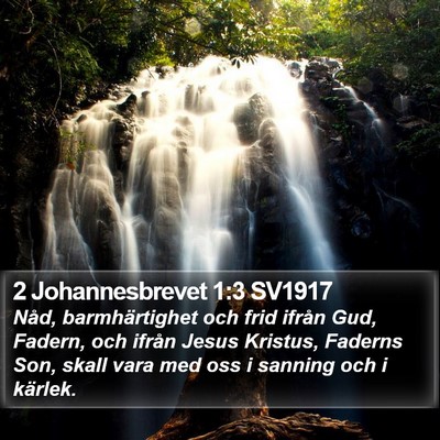 2 Johannesbrevet 1:3 SV1917 Bible Verse Image