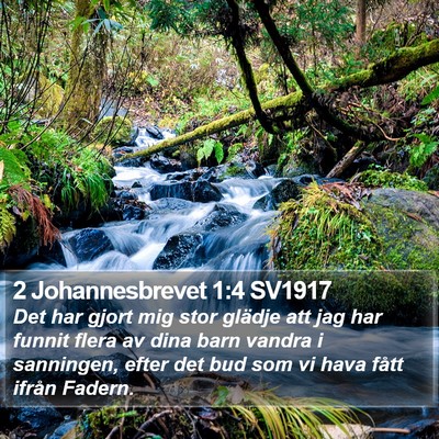 2 Johannesbrevet 1:4 SV1917 Bible Verse Image