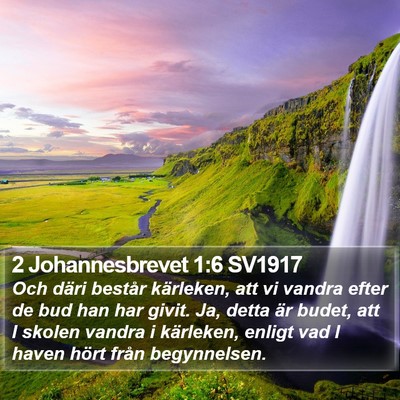 2 Johannesbrevet 1:6 SV1917 Bible Verse Image