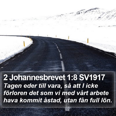 2 Johannesbrevet 1:8 SV1917 Bible Verse Image