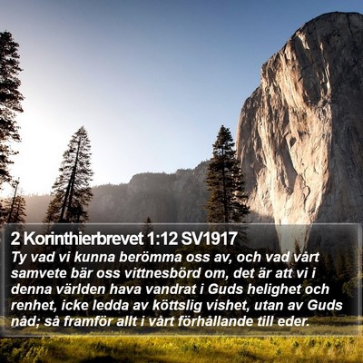 2 Korinthierbrevet 1:12 SV1917 Bible Verse Image