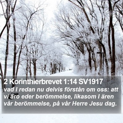 2 Korinthierbrevet 1:14 SV1917 Bible Verse Image