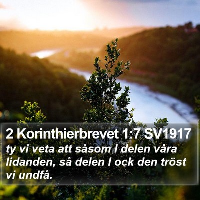 2 Korinthierbrevet 1:7 SV1917 Bible Verse Image