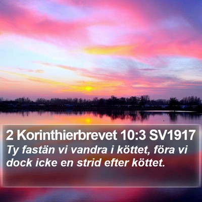 2 Korinthierbrevet 10:3 SV1917 Bible Verse Image