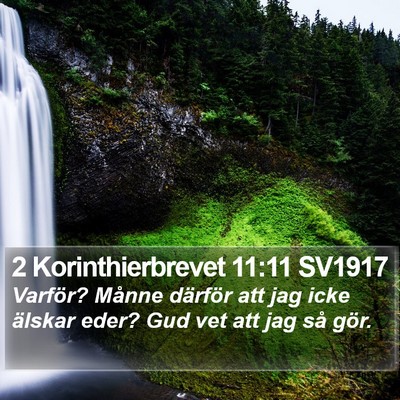 2 Korinthierbrevet 11:11 SV1917 Bible Verse Image