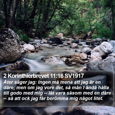 2 Korinthierbrevet 11:16 SV1917 Bible Verse Image