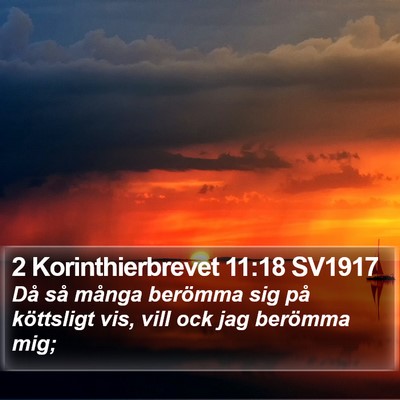 2 Korinthierbrevet 11:18 SV1917 Bible Verse Image