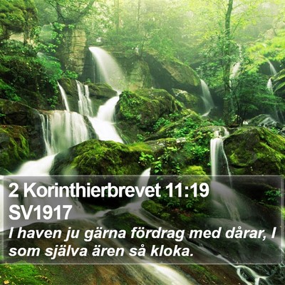 2 Korinthierbrevet 11:19 SV1917 Bible Verse Image
