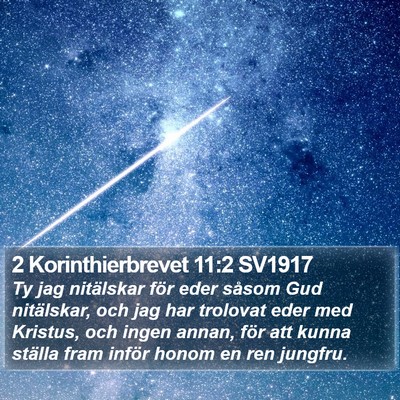 2 Korinthierbrevet 11:2 SV1917 Bible Verse Image
