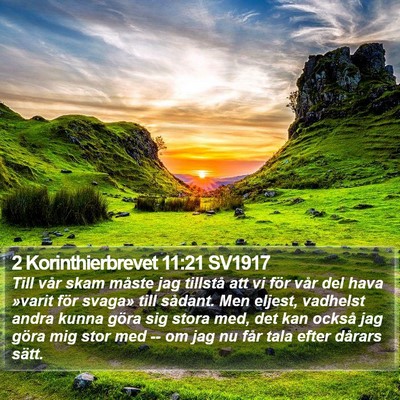 2 Korinthierbrevet 11:21 SV1917 Bible Verse Image