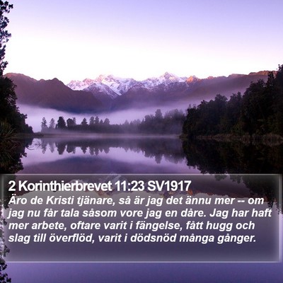 2 Korinthierbrevet 11:23 SV1917 Bible Verse Image