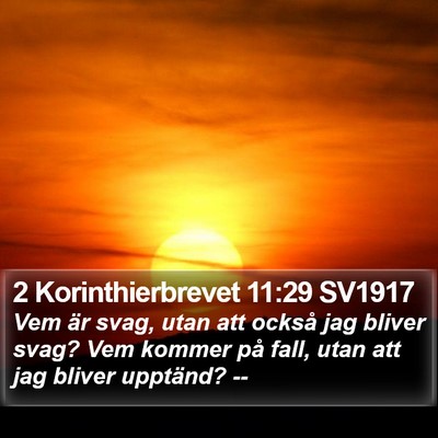 2 Korinthierbrevet 11:29 SV1917 Bible Verse Image