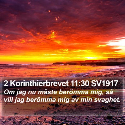 2 Korinthierbrevet 11:30 SV1917 Bible Verse Image
