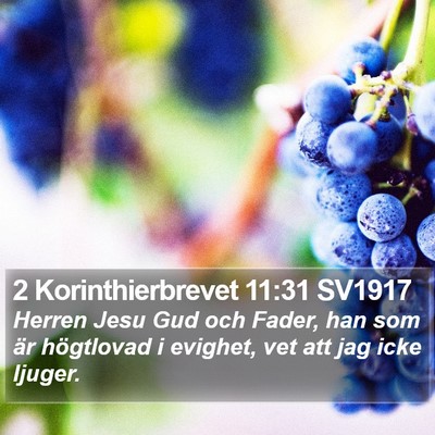 2 Korinthierbrevet 11:31 SV1917 Bible Verse Image