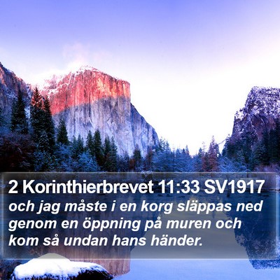 2 Korinthierbrevet 11:33 SV1917 Bible Verse Image