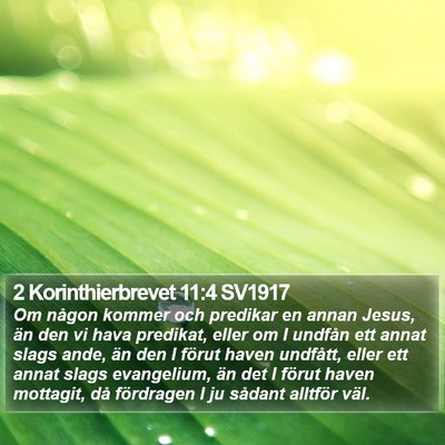 2 Korinthierbrevet 11:4 SV1917 Bible Verse Image