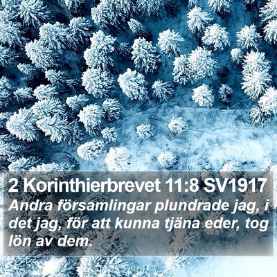 2 Korinthierbrevet 11:8 SV1917 Bible Verse Image