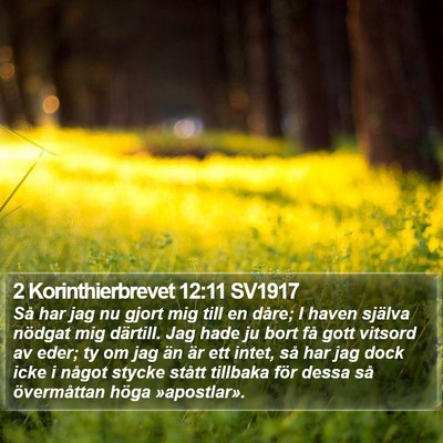 2 Korinthierbrevet 12:11 SV1917 Bible Verse Image